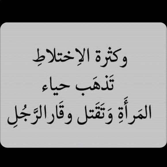 Meet your Posher, Basil - Picture 1 of 1